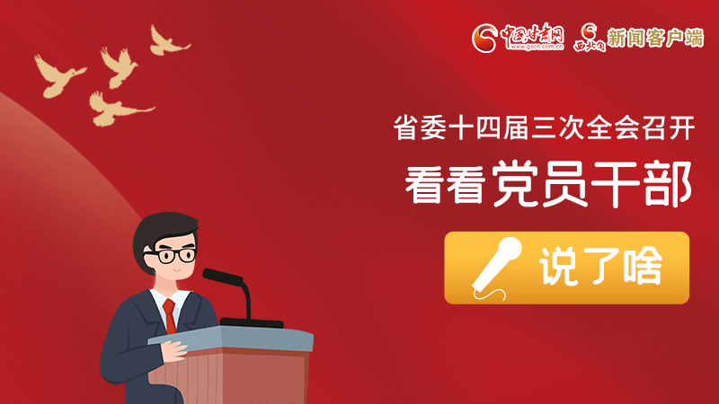 圖解|事關(guān)甘肅省委十四屆三次全會，黨員干部這么說！
