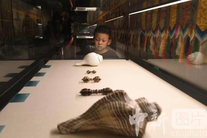 圖為展出的“白海螺法器”吸引小觀眾。 中新社記者 戴文昌 攝