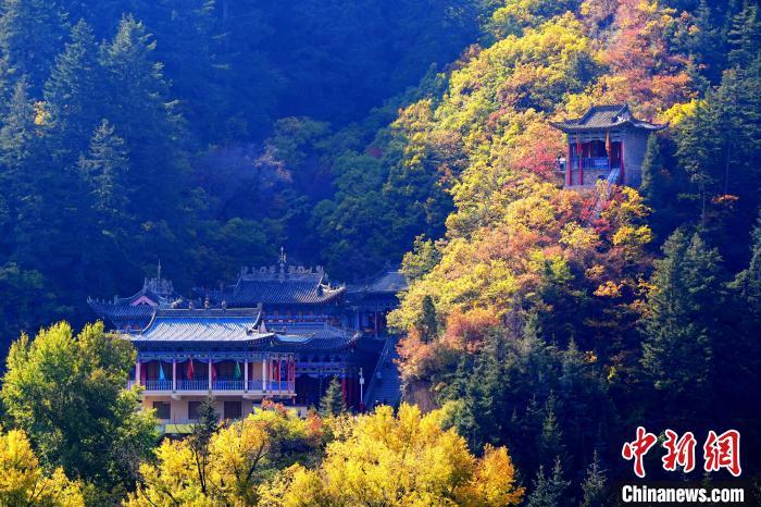 深秋，位于蘭州市榆中縣的興隆山景色如畫。宮衛(wèi)紅 攝