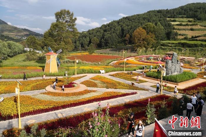圖為航拍甘肅甘南臨潭縣八角鎮(zhèn)，花海吸引游人。(資料圖)高展 攝