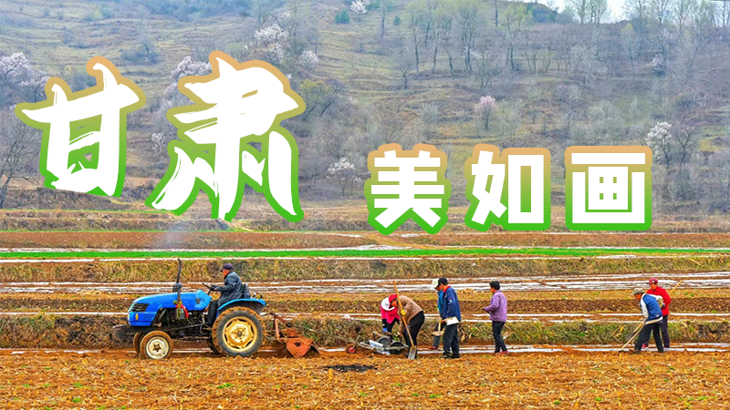 微海報|甘肅，美如畫