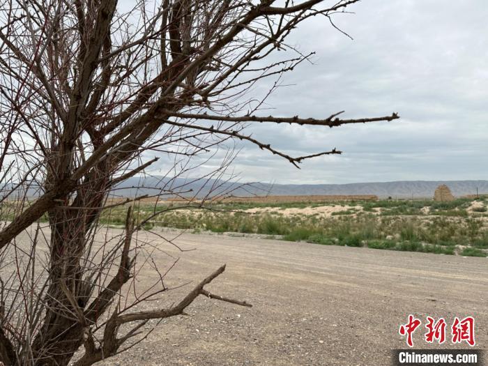 圖為位于長城墻體上的“馬面”或“敵臺(tái)”。　戴文昌 攝