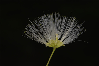 1740993887999501.jpg _0OB2729.JPG