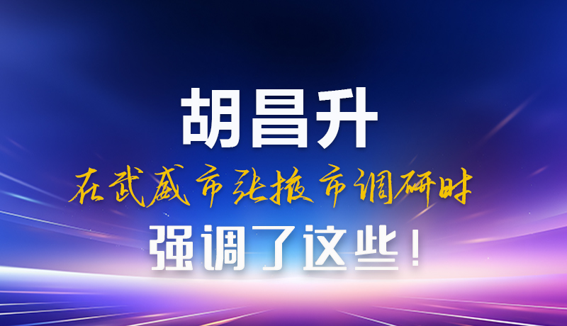圖解|胡昌升在武威市張掖市調(diào)研時強調(diào)這些！