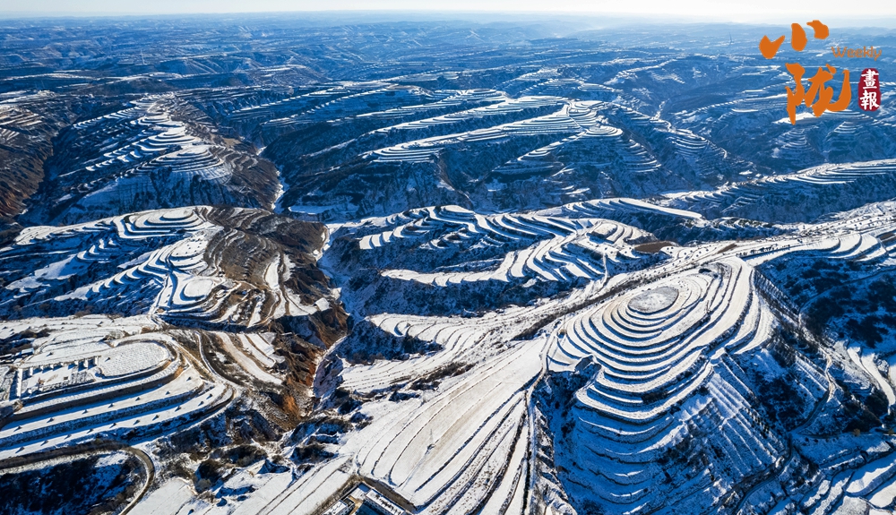 【小隴畫報(bào)·465期】雪落華池：黃土高原的冬日詩行