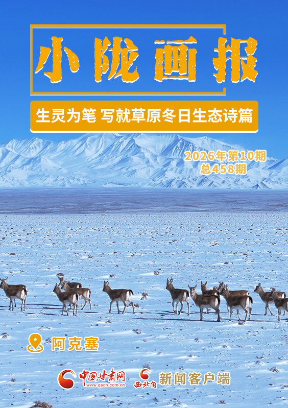 【小隴畫(huà)報(bào)·458期】阿克塞：生靈為筆 寫(xiě)就草原冬日生態(tài)詩(shī)篇