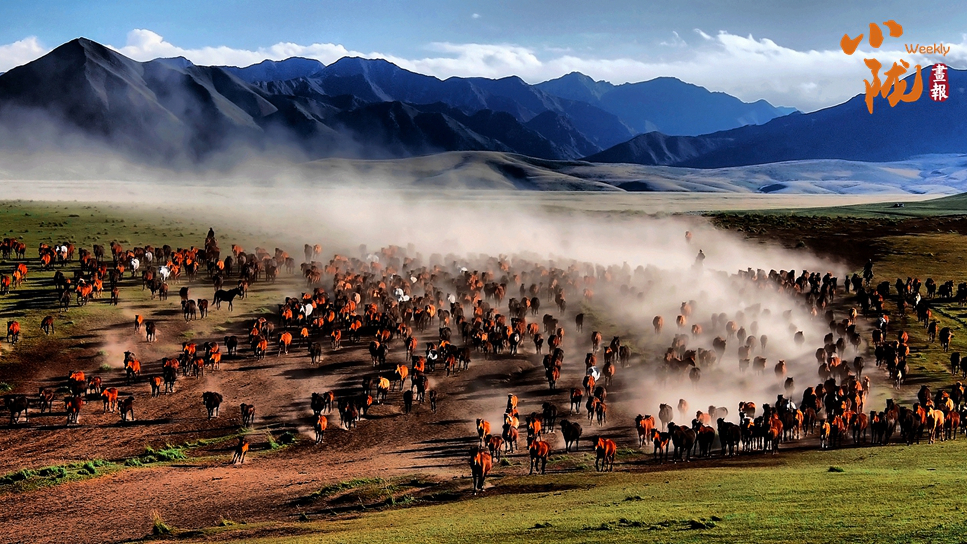 【小隴畫報(bào)·463期】蹄印河西走廊：山丹馬的千年牧歌