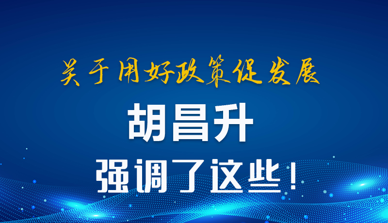 圖解|關于用好政策促發(fā)展 胡昌升強調(diào)了這些！