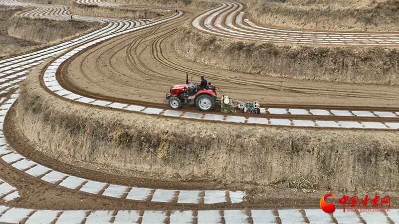 靜寧：春到田疇忙耕種 頂凌覆膜掀熱潮